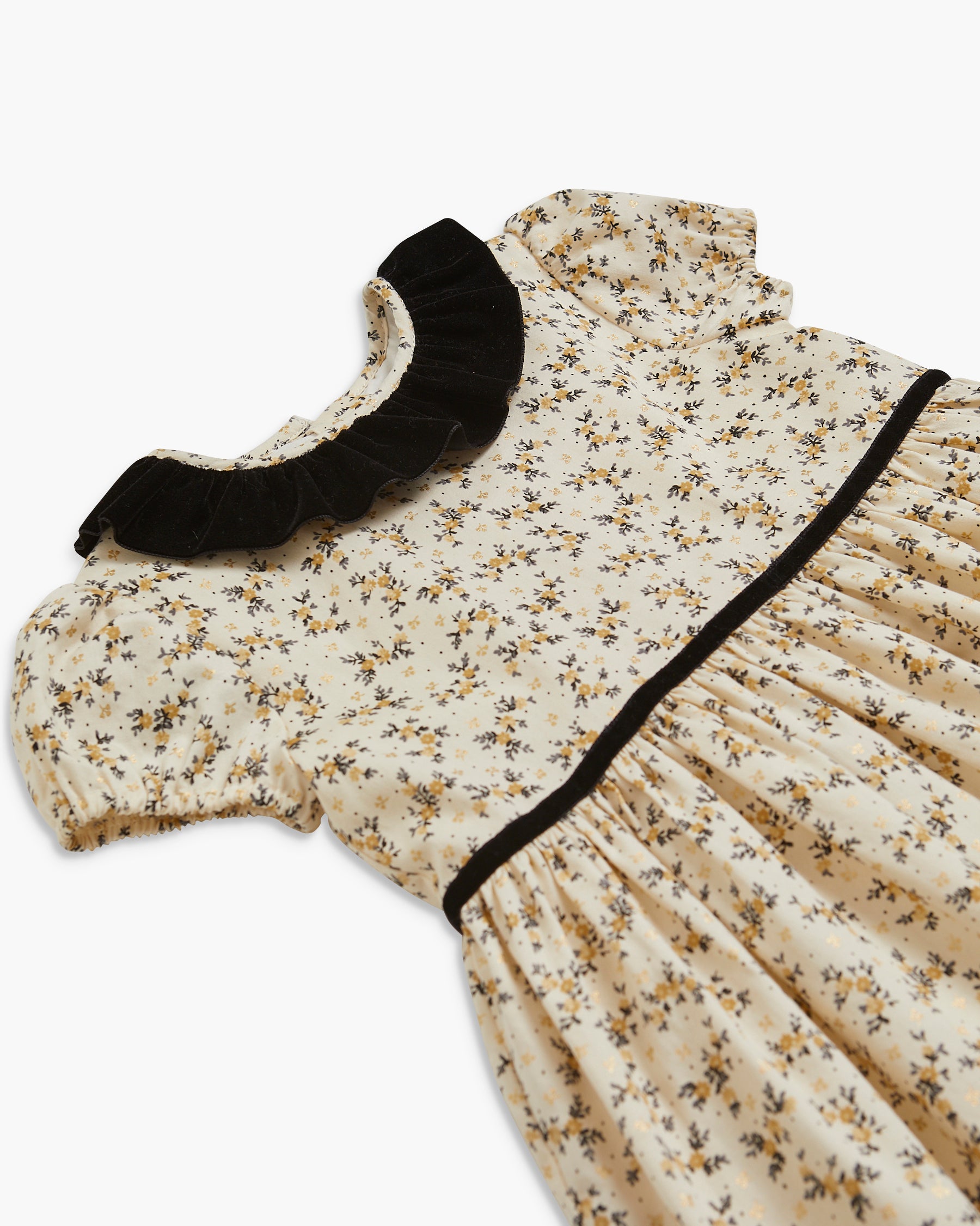 Raisin Dress Black/Gold Floral