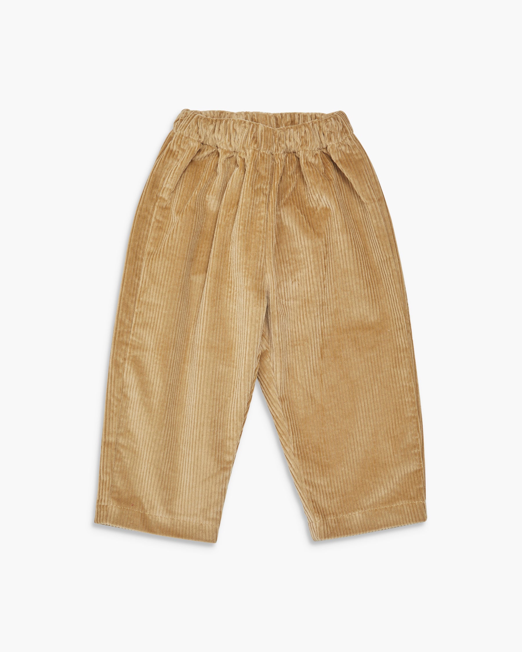 Beige corduroy pants on a white background