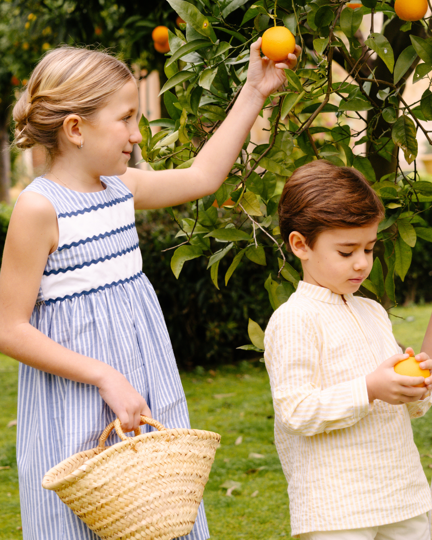 Miel Dress Blue Stripe Seersucker