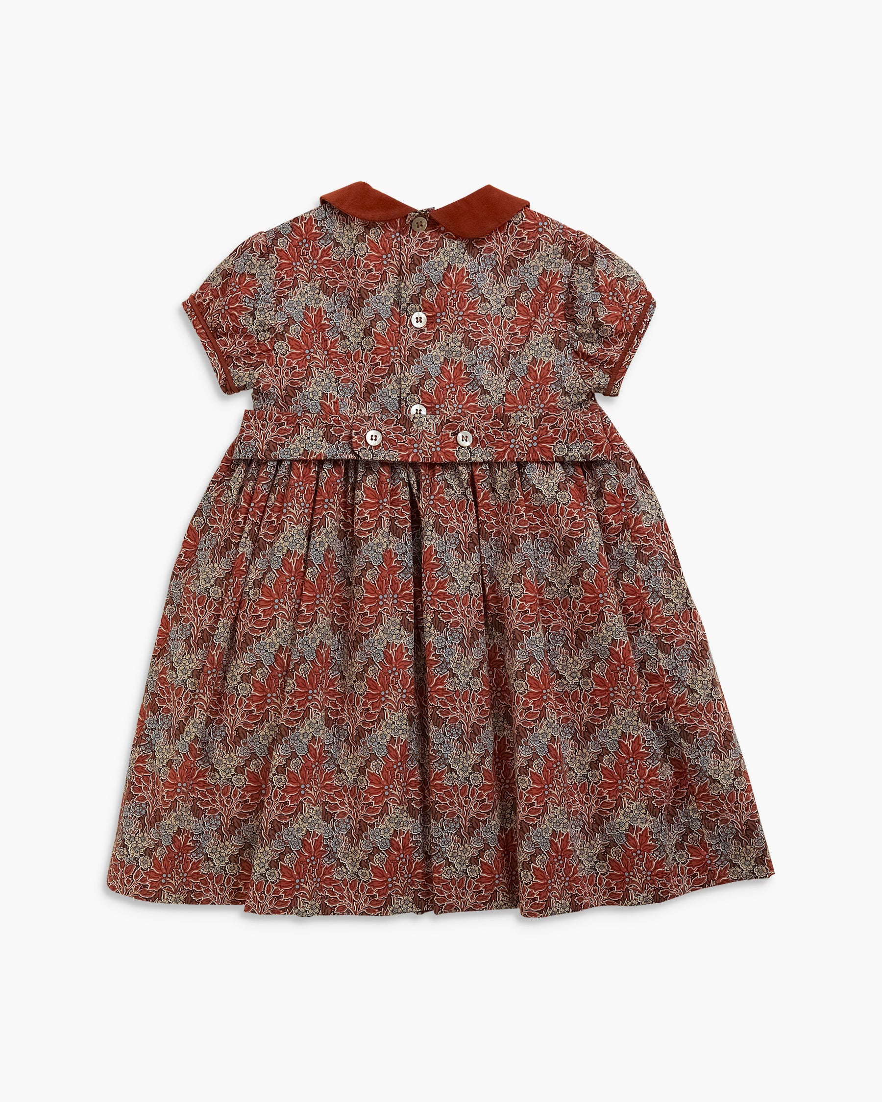 A short-sleeved baby dress with a red and gray floral pattern, featuring a solid rust-red collar and buttoned front, shown against a plain white background.