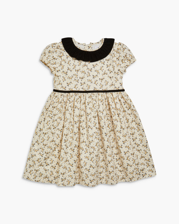 Raisin Dress Black/Gold Floral