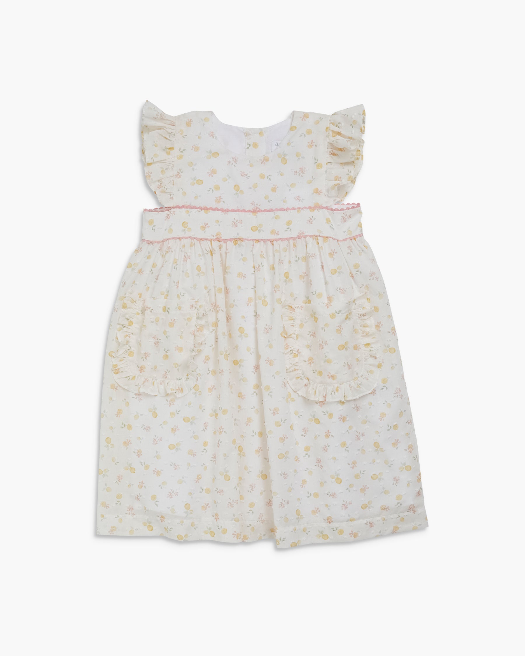 Vilma Dress Printed Plumetis